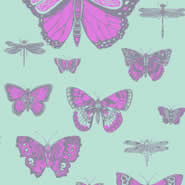Butterflies & Dragonflies (103-15062)
